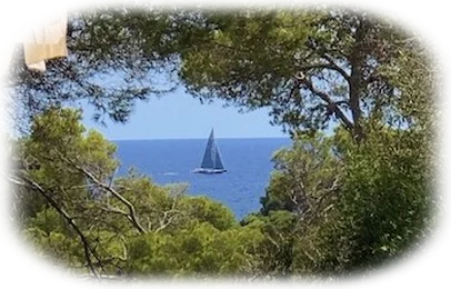 Meerblick Dem Meer so nah.